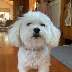 Meet your Posher, Sheri